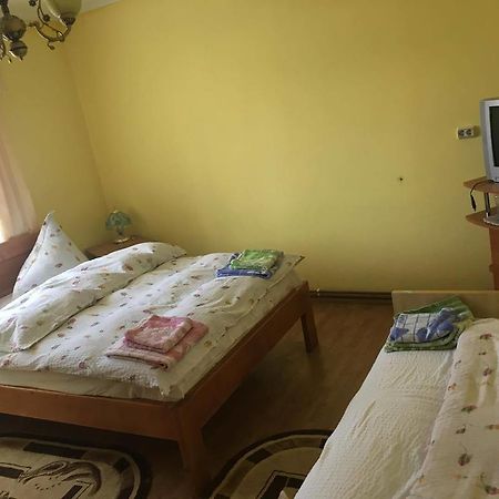 Pensiunea Vasilica Ceterasu Onceşti Eksteriør bilde